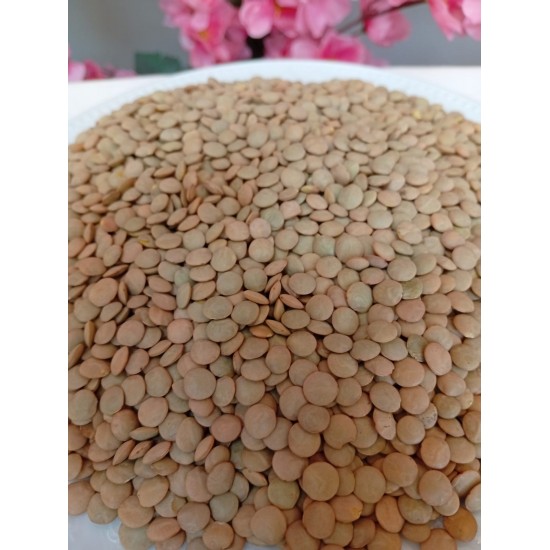 Yeşil Mercimek 500 Gr